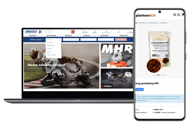 grafika przedstawiająca symbolicznie platformę b2b